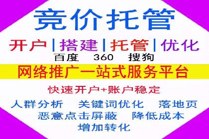 SEM托管公司案例分析：实战技巧全解析